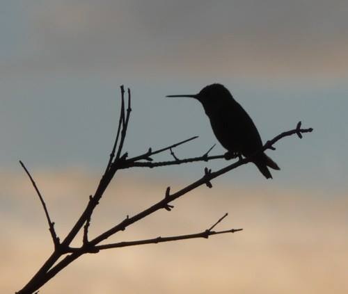 2014-07-18 21.49.30.jpg