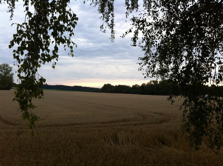 2014-08-12 19.41.40.jpg