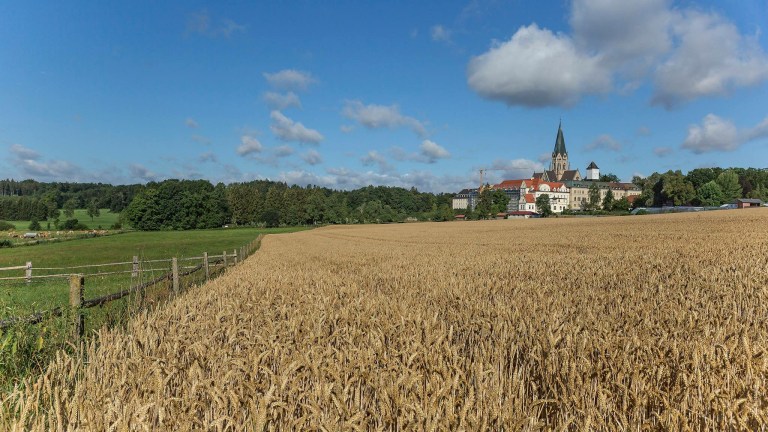 2015-07-27 12.00.07.jpg